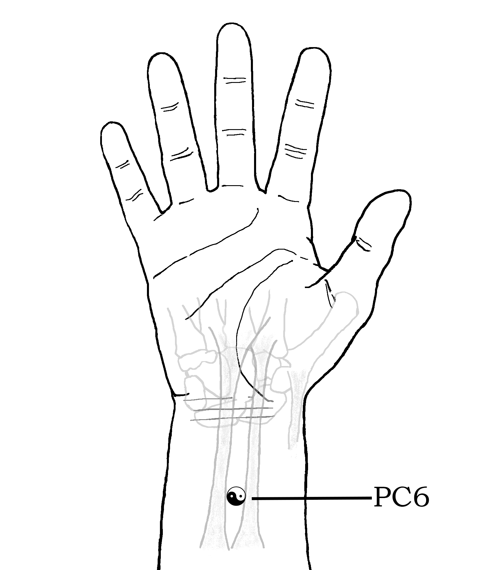 Drawing of NeiGuan - PC6