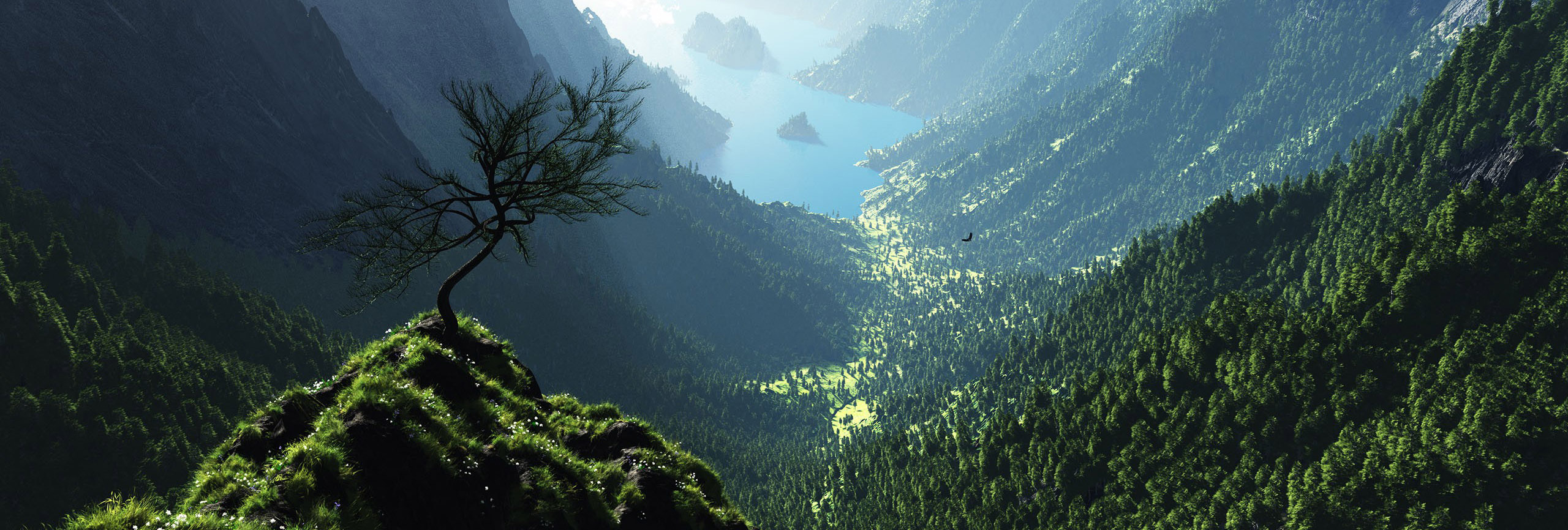 Three Mountains Certification and Credentials